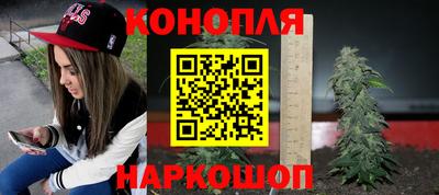 круглые Камышлов