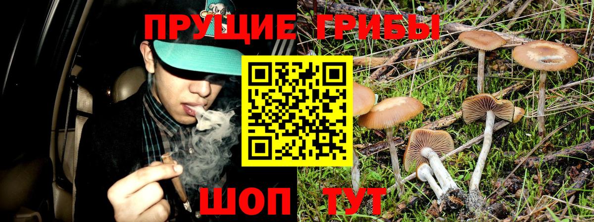 Галлюциногенные грибы Psilocybine cubensis  наркотики  Псилоцибиновые грибы Psilocybe  Гуково  Вход с VPN 
