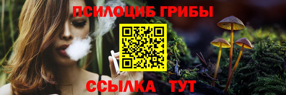 Псилоцибиновые грибы прущие грибы Гуково