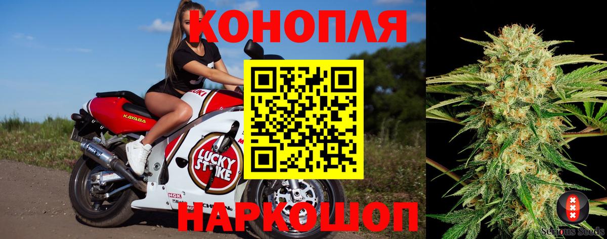 Шишки марихуана план Гуково